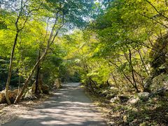 -大连天门山国家森林公园