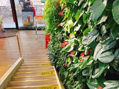 -Peet's Coffee皮爷咖啡(大学路店)