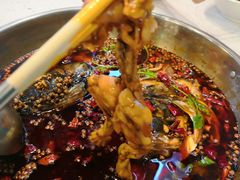 -麻辣巅峰美蛙鱼头火锅(犀浦店)
