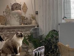 -共舞时光猫咖·狗咖(新街口店)