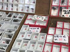-万商花鸟市场