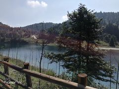 -武陵山森林公园