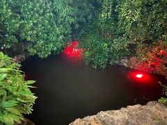 -杭州第一世界大酒店·云曼温泉