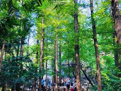 -国家植物园南园