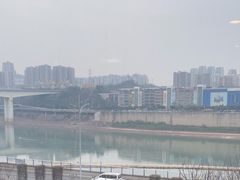 -李子坝梁山鸡(李子坝大鸡哥店)