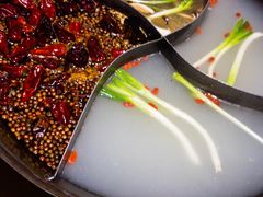 -白乐天毛肚火锅馆(解放碑店)