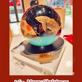 圣诞季🎄来外滩抱一下！