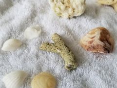 -半山半岛洲际度假酒店·观海廊