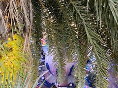 -布吉佳兆业广场