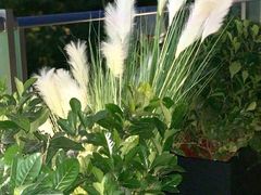 -外滩·云南人家(昆明旗舰店)