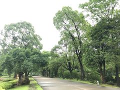 -Club Med地中海俱乐部·桂林度假村