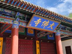 -张掖大佛寺景区