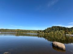 -五营红松林海景区
