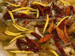 -花椒俏川菜小馆(南海万达店)