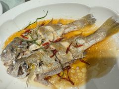 -汇丰苑·海鲜青岛菜(中山路大鲍岛店)