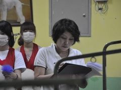 -优缇多格专业宠物美容师培训学校