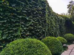 -趵突泉景区