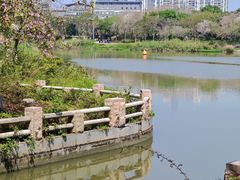 -海珠湖公园