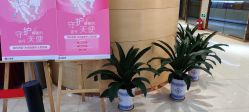 -郑州米兰柏羽集美医疗美容医院