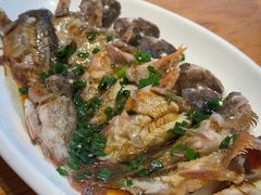 -金海湾海鲜排档(朱家尖店)