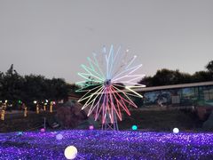 -北京鹿世界主题园