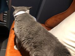-吱咖啡西式简餐