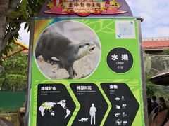 -灵玲国际马戏城