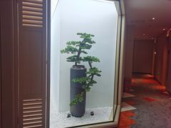 -柏曼酒店(重庆解放碑洪崖洞店)