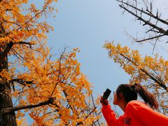 -百林公园-两江幸福广场