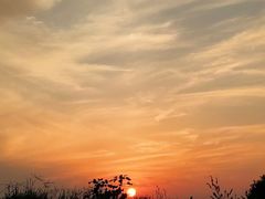 -合肥滨湖国家森林公园