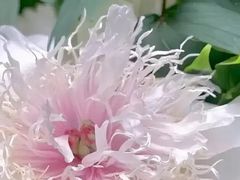 -洛阳市隋唐城遗址植物园