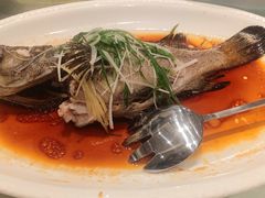 -大东海海鲜酒楼(渔人码头总店)