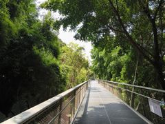 -仙岳公园