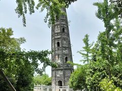 -上海佘山国家森林公园天马山园