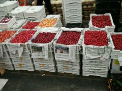 -西郊国际农产品交易中心