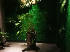 -田趣园长沙菜(天安云谷店)