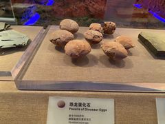 -烟台市博物馆