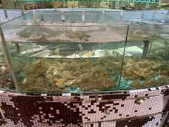 水产区-皇家园林酒店