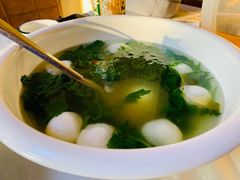 -丁老爷子苏香圆