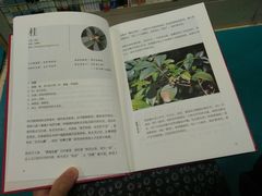 -西湖区图书馆(古墩路)