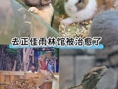 -正佳雨林生态植物园