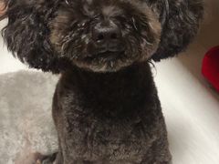 -熊小胖宠物生活馆(天华园店)