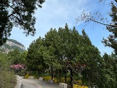 -佛慧山