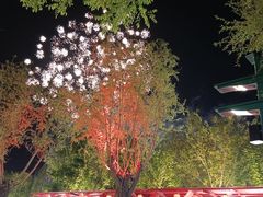 -天津方特欢乐世界