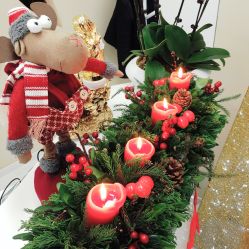 -新蝶变皮肤管理中心