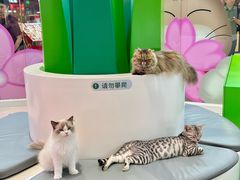 -PO PARK东方宝泰