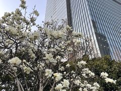 -静安公园(静安寺街道)