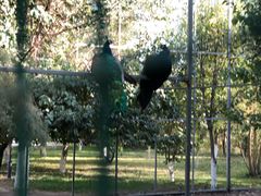 -哈密回王府景区