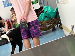 -北京赛佳动物医院