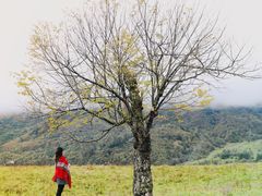 景点-硗碛藏寨·神木垒景区